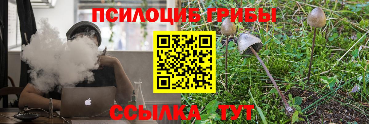 сколько стоит  Вход с VPN  Ессентуки  Галлюциногенные грибы GOLDEN TEACHER 
